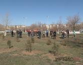 Ақсу қаласының тұрғындары да жаппай сенбілікке шықты