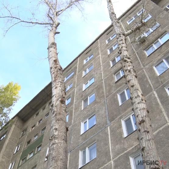 Қамзин көшесіндегі №80-үйдің тұрғындары санитарлық ағаш кесу жұмыстарына наразы