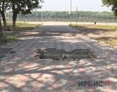 Павлодарлықтарды Қазқонақтың қазіргі жағдайы алаңдатып отыр