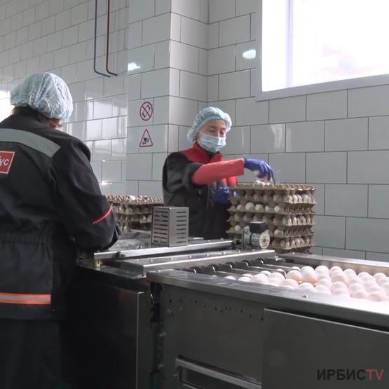 Павлодар дүкендеріне қойылатын арзан жұмыртқаның арнайы таңбасы болады