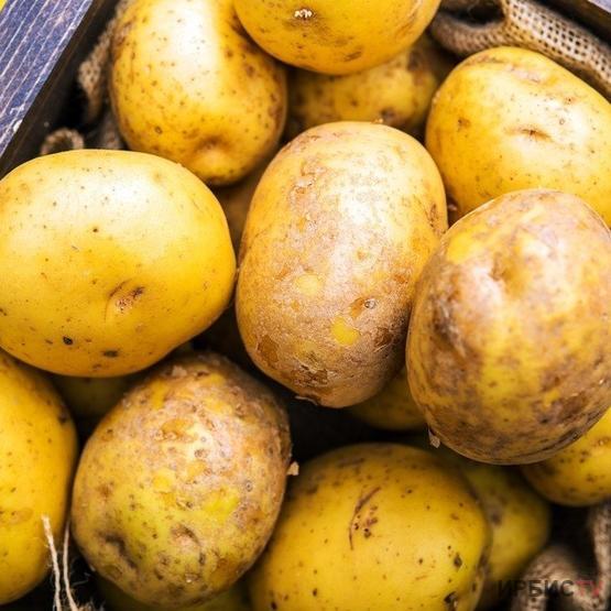 Павлодарда көкөністер бір жылда 25% қымбаттаған
