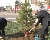 Павлодар педагогикалық Университетінің оқытушылар құрамы мен студенттері 30 ағаш отырғызды
