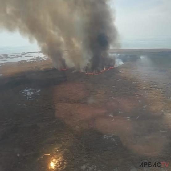 Павлодар облысында 1200 гектар орман жанып кетті